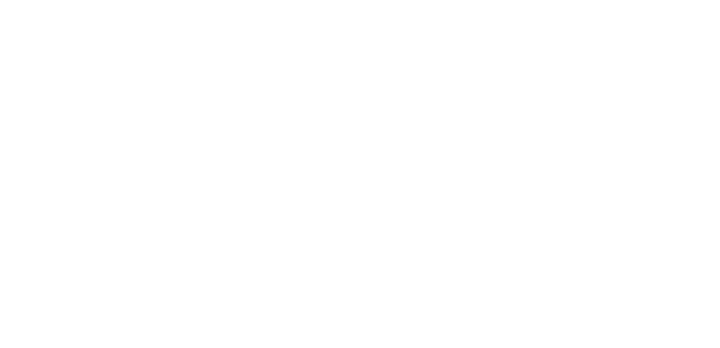 Raio Logo White